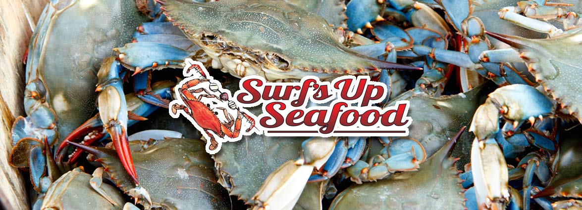 Surf's Up Seafood Market