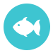 Red Drum Tackle Shop Fishing Reports Red Drum Tackle Shop Fishing Reports