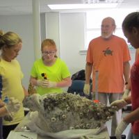 Cape Hatteras Secondary School, This Week at Cape Hatteras Secondary School November 6th Edition