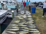 Oregon Inlet Fishing Center, Big Eye Tuna For Dinner