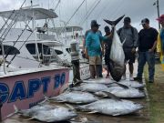Oregon Inlet Fishing Center, Good Fishing