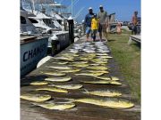 Oregon Inlet Fishing Center, More Fish