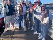 Bite Me Sportfishing Charters, A Few Dolphin & Tuna Bites