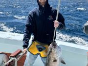 Tuna Duck Sportfishing, Bachelor Party Today