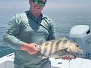 Red Drum Tackle Shop, Sheepshead on Mother's Day