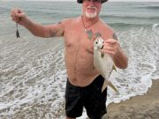 Red Drum Tackle Shop, Nice Flurry of Pompano