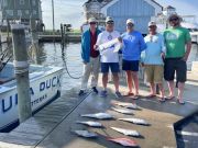 Tuna Duck Sportfishing, Blue Marlin Release