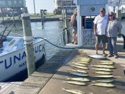 Tuna Duck Sportfishing, Mahi Today