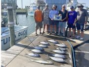 Tuna Duck Sportfishing, Sailfish Release and Meat Fish Today