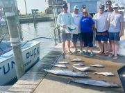 Tuna Duck Sportfishing, Wahoo, Sailfish Release, and Tilefish