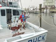 Two sailfish released aboard the Tuna Duck