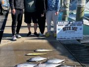 Bite Me Sportfishing Charters, Spring time meat fishing