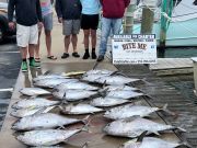 Bite Me Sportfishing Charters, Great Spring Tuna Fishing