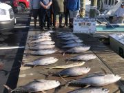 Bite Me Sportfishing Charters, Good tuna fishing continues