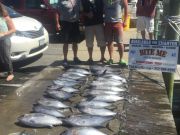 Bite Me Sportfishing Charters, Great Tuna Fishing Continues!