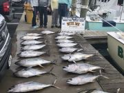 Bite Me Sportfishing Charters, Pretty day great tuna fishing
