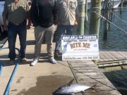 Bite Me Sportfishing Charters, Started out slow, then tapered off