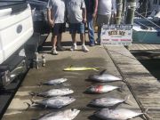 Bite Me Sportfishing Charters, The Bob's!  Tuna Dolphin and a Blue Marlin sighting!