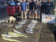 Bite Me Sportfishing Charters, Mess o Fish Tunas Dolphins!