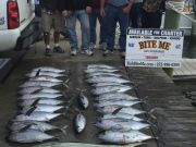 Bite Me Sportfishing Charters, No Romo!  Tunas and Dolphins!