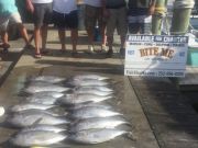 Bite Me Sportfishing Charters, Lurch and Crew!