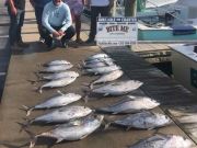 Bite Me Sportfishing Charters, Blackfin tuna on a slick calm day
