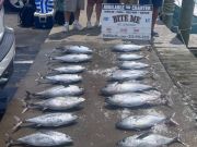 Bite Me Sportfishing Charters, In the Meat!