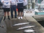 Bite Me Sportfishing Charters, Blue Marlin Sailfish Wahoos and Tunas