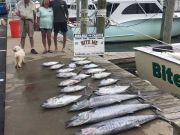 Bite Me Sportfishing Charters, Wahoos and Blackfins