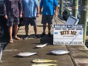 Bite Me Sportfishing Charters, Pretty Day with new friends