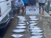 Bite Me Sportfishing Charters, Good Meat Fishing + A Sailfish!
