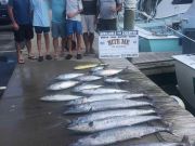 Bite Me Sportfishing Charters, Wahoos, Blackfin tuna, dolphin and more!