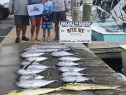 Bite Me Sportfishing Charters, Wahoo, Blackfin tuna, dolphin and a Sailfish