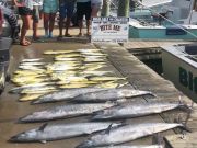 Bite Me Sportfishing Charters, Wahoos and dolphin on a pretty day!