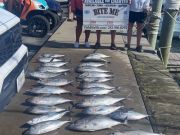 Bite Me Sportfishing Charters, Tunas with Fellow Mountaineers