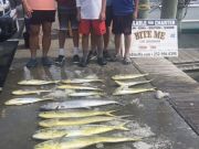Bite Me Sportfishing Charters, Family Fun - Dolphin and King