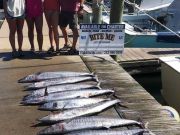 Bite Me Sportfishing Charters, Wahoo the other white meat!
