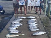 Bite Me Sportfishing Charters, Good Meat Fishing and a Sailfish