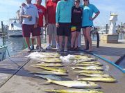 Tuna Duck Sportfishing, Mahi