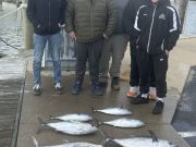 Tuna Duck Sportfishing, Blackfins Today