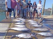 Tuna Duck Sportfishing, Blackfin Tuna!