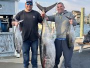 Tuna Duck Sportfishing, Excellent Bluefin Tuna Fishing