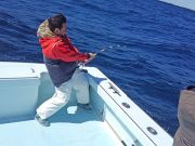 Tuna Duck Sportfishing, Bluefin Tuna Fishing