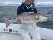 Hatteras Harbor Marina, Wind made the Red Drum bite