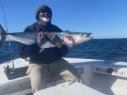 Hatteras Harbor Marina, Nice King Mackerel