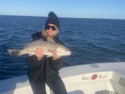 Hatteras Harbor Marina, Excellent Red Drum bite