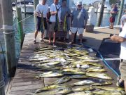 Tuna Duck Sportfishing, Mahi