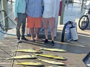 Tuna Duck Sportfishing, Nice Wahoo Today