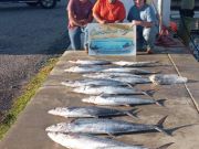 Hatteras Harbor Marina, Good catches