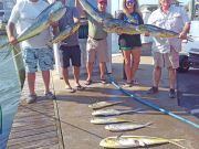 Tuna Duck Sportfishing, Mahi!